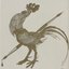 Rooster