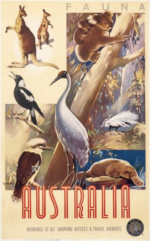Australia (fauna), c.1935