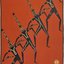 Gert Sellheim, Corroboree, Australia, 1935