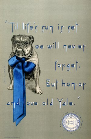 Yale Bulldog
