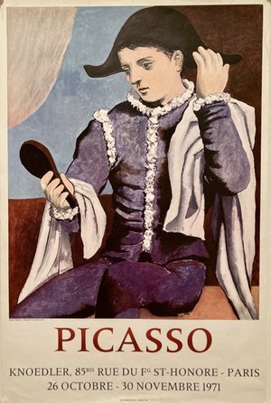 Picasso Harlequin