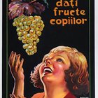 Murnu Ary 1935 cca - CONSUME MORE FRUIT -
